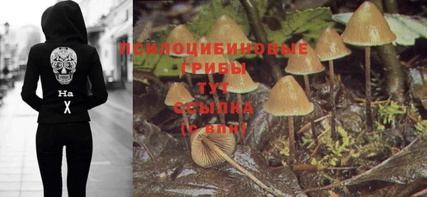 дмт Баксан